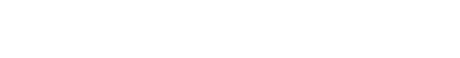 Accelerogramma di progetto con il suo spettro di risposta utilizzato per una modellazione monodimensionale
